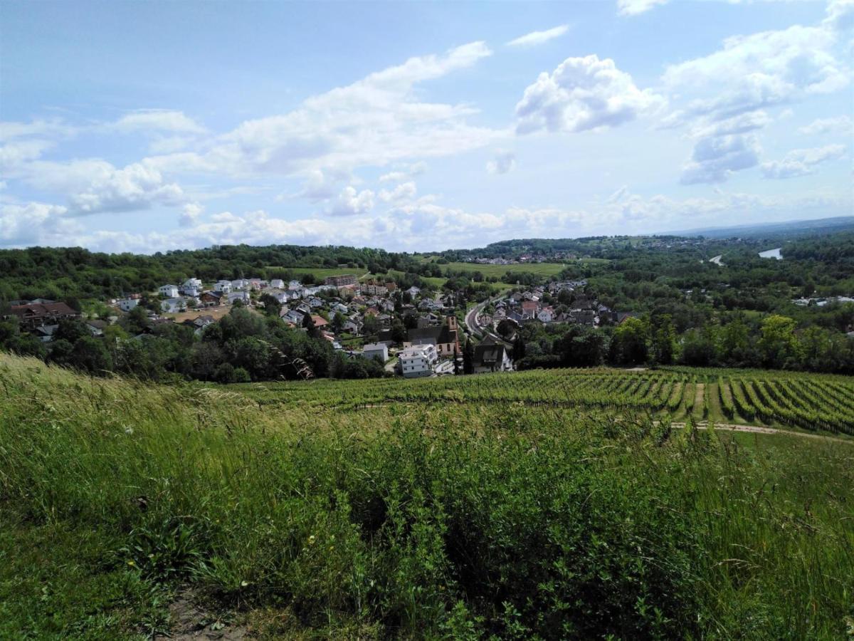Ferienwohnung Wisser- Fernblick Bad Bellingen Exterior foto